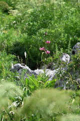 Fototapete bei efototapeten.de bestellen   