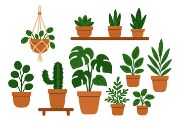 Obraz premium Collection of various potted houseplants including succulents and tropical foliage