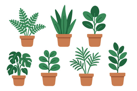 Assortment of green potted houseplants in terracotta containers