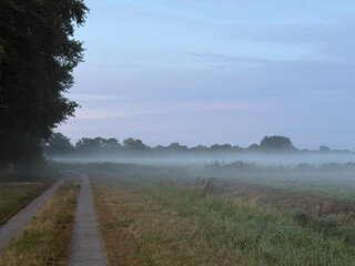 foggy field, natural misty field view