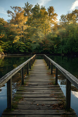 wooden bridge in the forest