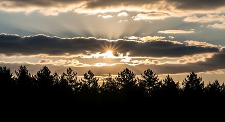 Sunset Silhouette - Trees Against a Radiant Sky.