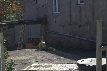 Rural Armenian Yard with Pumpkins and Ladder in Autumn