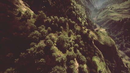 Morning fog gently envelops the lush green hills and valleys, creating a tranquil atmosphere. Sunlight breaks through the mist, highlighting the natural beauty of the landscape.