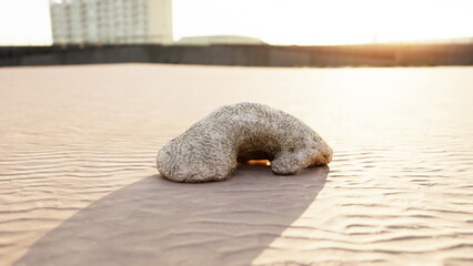 A remarkable and unusual natural formation rests on the smooth sands, casting a long shadow during a tranquil sunset. The warm hues of the sky enhance the serene atmosphere.