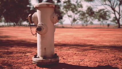 Fototapeta premium A white fire hydrant sits prominently on reddish brown dirt, surrounded by sparse trees under a bright sky. The scene is calm and quiet, capturing the simplicity of the setting.
