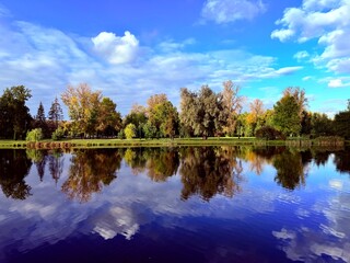 autumn trees reflection on the blue lake surface, autumn lake in the park