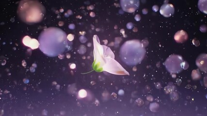 Glowing Flower Symbol Women's Day Background - Powered by Adobe