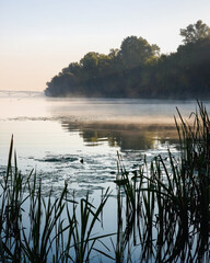 A serene morning landscape: calm river with fog rising from the water's surface, reflecting a pale sky and a dense line of dark green trees. Tall reeds in the foreground, bridge in the background.