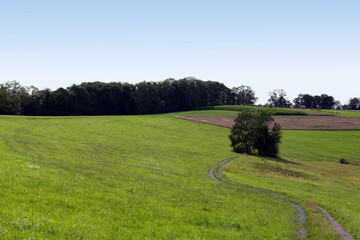 Großerlach
