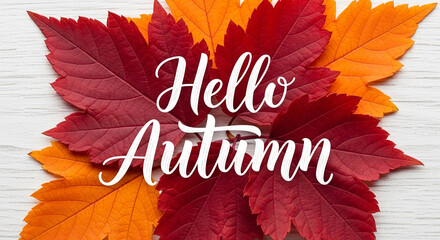 Red and orange autumn leaves arranged around "Hello Autumn" text on white wood background, representing seasonal change and fall aesthetic