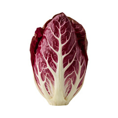 Obraz premium Isolated vibrant radicchio close up showcasing intricate leaf patterns against void surrounding