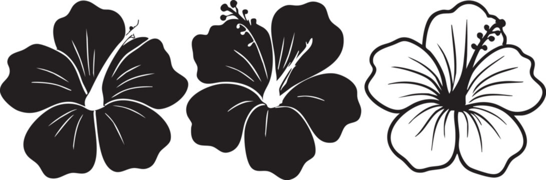 Hibiscus flower vector: black and white floral design elements eps silhouette