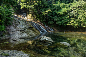 千葉県大多喜町 夏の養老渓谷 粟又の滝