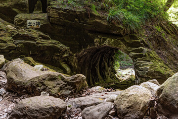 千葉県大多喜町 夏の養老渓谷 黄金の滝