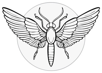Graphic Winged Insect in Black and White Line Art Illustration with Antennae