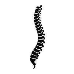 Human spine silhouette skeleton anatomy