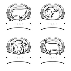 Sheep labels and icon set. Collection icons sheep. Vector