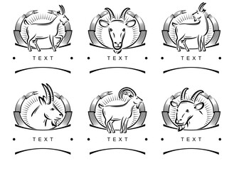 Goat labels and icon set. Collection icons goat. Vector
