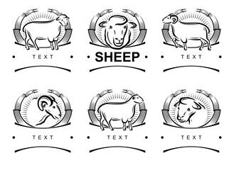 Sheep labels and icon set. Collection icons sheep. Vector