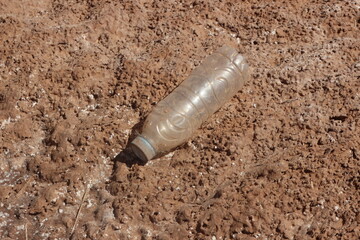 A plastic bottle lying on the ground, Plastic pollution, Plastic environmental impact