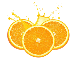 Orange slices with juice splash (1)