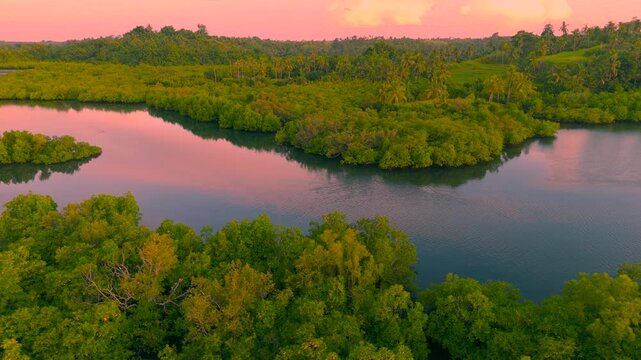 Aerial view of a winding river flowing through dense mangrove forest at sunset, Sucuri River, Brazil.