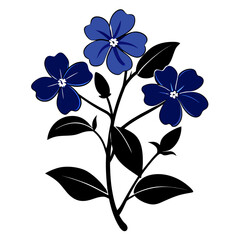 eadwort plumbago silhouette flower vector on white 