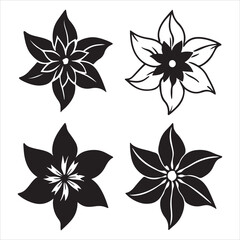 Fototapeta premium A Vibrant Closeup of a Star Shaped Clematis Flower, a Classic English Garden Perennial Climbing Vine, Ideal for Trellis Vertical Garden Decoration with Large Bloom Beauty.