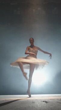 Ballerina Performing Plie and Spinning Gracefully on Stage Under Warm Spotlight Symbolizing Balance Harmony Strength and Feminine Elegance in Artistic Dance Performance