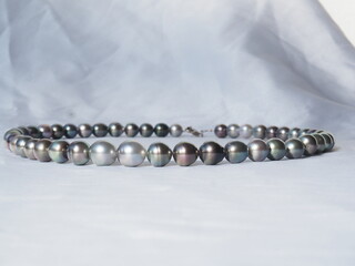 pearls circles to Tahiti 