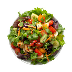 fresh vegetable salad with chicken
