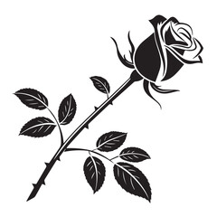 Obraz premium Silhouette of a rose flower isolated on white background