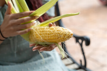 Woman shucking fresh corn on the cob