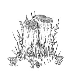 Line art illustration of stump with grass and mushrooms around. Hand-drawn nature ink drawing