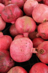 A vibrant pile of pinkish-red pomegranates fills black crates, each fruit varying slightly in hue and size.