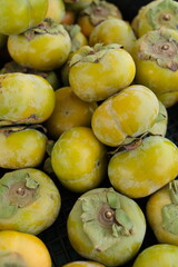 A black crate is filled with ripe Fuyu persimmons