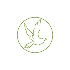 Fototapeta premium vector illustration of a bird