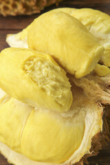 Fresh Golden Durian Fruit Segments with Creamy Flesh and Natural Shell