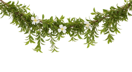 Floral garland with leaves and white blossom accents