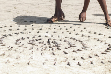 Human hands arranging  seashells at the beach in watamu Beach in Kenya