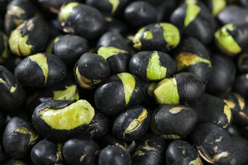 Fresh Black Beans with Green Sprouts - Natural Legume Germination Process