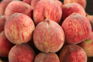 Fresh Red Striped Peaches from Hubei Province Display - Organic Stone Fruit Collection
