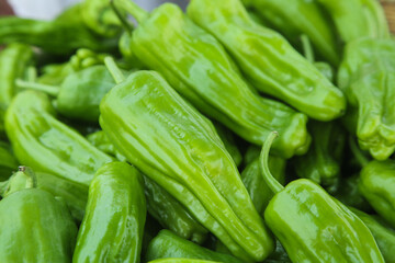 Fresh Green Tiger Peppers for Home Cooking and Spicy Asian Cuisine