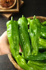 Fresh Green Tiger Peppers in Hand - Spicy Hunan Cuisine Ingredients with Water Droplets