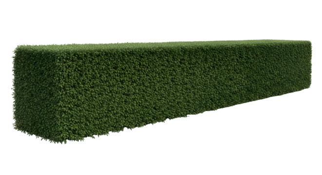 Green topiary wall for landscaping design idea