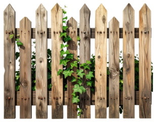 Weathered wooden fence with climbing ivy