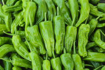 Fresh Green Tiger Peppers from Hunan Farm Market Display