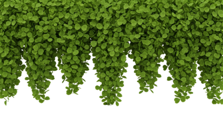 Lucky clover cascade brings charm and joy