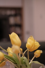 yellow tulips on a wooden background, home